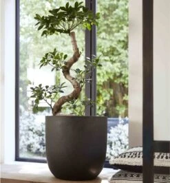 Capi Europe - Bloempot Bol Smooth NL - 35x34 - Zwart - Voor Binnen En Buiten - KBL932 22 Capi Europe - Bloempot Bol Smooth NL - 35x34 - Zwart - Voor Binnen En Buiten - KBL932 -Gardena Winkel 1116x1200