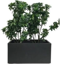 Elho Vivo Matt Finish Lang Wielen 90 - Grote Staande Plantenbak Voor Binnen & Buiten - Gemaakt Van Gereycled Plastic - L 39 X W 88 X H 41 Cm - Zwart -Gardena Winkel 1124x1200 1