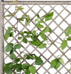 Casaria Polyrattan Bloembak – 3 Bakken Klimophek - Crème -Gardena Winkel 1163x1200 1