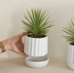 Riviera Maison Plantenbak Rond, Bloempot Met Ribbel - RM Let It Grow Planter - Wit - Porselein - Maat S -Gardena Winkel 1200x1191 5