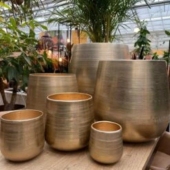 Merkloos Karakter Pot Alu Neo Gold ø40x40cm -Gardena Winkel 1200x1198 8