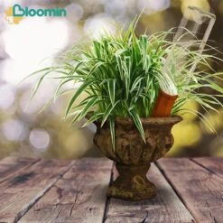 Bloomin Waterdruppelaar Van Terracotta - Waterdruppelaar Voor Planten - Druppelsysteem - Irrigatiesysteem - Watergeefsysteem - Bewateringssysteem - 8 Stuks -Gardena Winkel 1200x1200 479