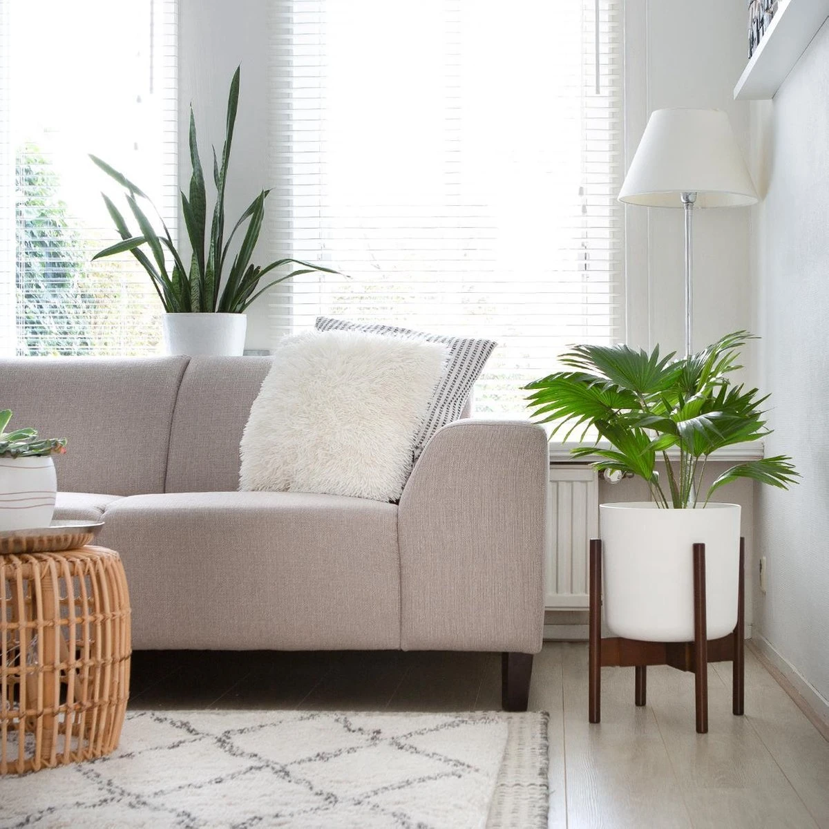 LifeGoods Planten Standaard - Uitschuifbare Bloempothouder - 20 Tot 30 Cm - Donker Bamboe 4 LifeGoods Planten Standaard - Uitschuifbare Bloempothouder - 20 Tot 30 Cm - Donker Bamboe - Afbeelding 4