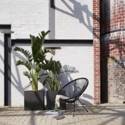 Capi Europe - Bloempot Vierkant Smooth NL - 50x50x50 - Zwart - Voor Binnen En Buiten - KBL904 -Gardena Winkel 1200x1200 538