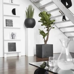 Capi Europe - Bloempot Vierkant Smooth NL - 50x50x50 - Zwart - Voor Binnen En Buiten - KBL904 -Gardena Winkel 1200x1200 545