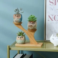 Luxe Bamboe Houten Boom Met 3 Keramiek Uil Bloempotten/Plantenpotten Op Standaard/Voet Voor Binnen En Buiten - Modern Design Bloempot/Plantenpot Op Poten/Pootjes-Plantenbak Mini Cactus Nep Plant Pot Houder - Kleine Bloembakken Plantenrek/Plantenkurk 11 Luxe Bamboe Houten Boom Met 3 Keramiek Uil Bloempotten/Plantenpotten Op Standaard/Voet Voor Binnen En Buiten - Modern Design Bloempot/Plantenpot Op Poten/Pootjes-Plantenbak Mini Cactus Nep Plant Pot Houder - Kleine Bloembakken Plantenrek/Plantenkurk -Gardena Winkel 1200x1200 553