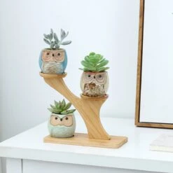 Luxe Bamboe Houten Boom Met 3 Keramiek Uil Bloempotten/Plantenpotten Op Standaard/Voet Voor Binnen En Buiten - Modern Design Bloempot/Plantenpot Op Poten/Pootjes-Plantenbak Mini Cactus Nep Plant Pot Houder - Kleine Bloembakken Plantenrek/Plantenkurk 13 Luxe Bamboe Houten Boom Met 3 Keramiek Uil Bloempotten/Plantenpotten Op Standaard/Voet Voor Binnen En Buiten - Modern Design Bloempot/Plantenpot Op Poten/Pootjes-Plantenbak Mini Cactus Nep Plant Pot Houder - Kleine Bloembakken Plantenrek/Plantenkurk -Gardena Winkel 1200x1200 554