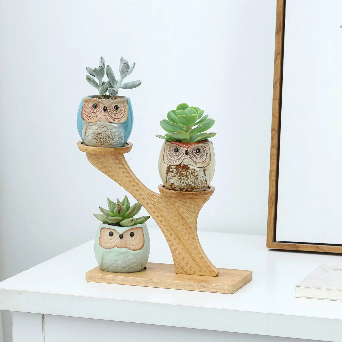 Luxe Bamboe Houten Boom Met 3 Keramiek Uil Bloempotten/Plantenpotten Op Standaard/Voet Voor Binnen En Buiten - Modern Design Bloempot/Plantenpot Op Poten/Pootjes-Plantenbak Mini Cactus Nep Plant Pot Houder - Kleine Bloembakken Plantenrek/Plantenkurk 5 Luxe Bamboe Houten Boom Met 3 Keramiek Uil Bloempotten/Plantenpotten Op Standaard/Voet Voor Binnen En Buiten - Modern Design Bloempot/Plantenpot Op Poten/Pootjes-Plantenbak Mini Cactus Nep Plant Pot Houder - Kleine Bloembakken Plantenrek/Plantenkurk - Afbeelding 5