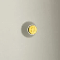 Elho Vivo Structure Finish Lang 90 - Plantenbak Voor Binnen & Buiten - Ø 88 X H 41 - Wit -Gardena Winkel 1200x1200 589