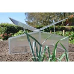 Royal Well Broeikas Silver Thyme -Gardena Winkel 1200x1200 604