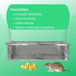 ValueStar Rattenval - Rattenval Voor Buiten - Ongediertebestrijding - Rattenvallen - Ratten - Rattenval Vangkooi -Gardena Winkel 1200x1200 609