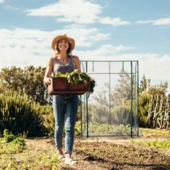 Relaxdays Tomatenkas 170 X 130 X 75 Cm - Folie Tuinkas - Grote Tomaten Kweekkas - Foliekas -Gardena Winkel 1200x1200 633