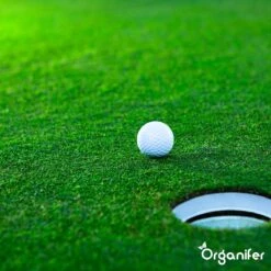 Gazonmest All-In-One (20Kg - Voor 400m2) Voor Een Diepgroen Sterk Gazon Zonder Mos En Onkruid - Complete Meststof Met Kalk En Grasversterker - Organifer 25 Gazonmest All-In-One (20Kg - Voor 400m2) Voor Een Diepgroen Sterk Gazon Zonder Mos En Onkruid - Complete Meststof Met Kalk En Grasversterker - Organifer -Gardena Winkel 1200x1200 649