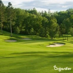 Gazonmest All-In-One (20Kg - Voor 400m2) Voor Een Diepgroen Sterk Gazon Zonder Mos En Onkruid - Complete Meststof Met Kalk En Grasversterker - Organifer 26 Gazonmest All-In-One (20Kg - Voor 400m2) Voor Een Diepgroen Sterk Gazon Zonder Mos En Onkruid - Complete Meststof Met Kalk En Grasversterker - Organifer -Gardena Winkel 1200x1200 650