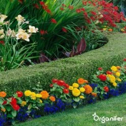 Lavagruis Uit Eifel Oergesteente (20Kg Voor 200m2) Grof Lavameel 0-2mm - Organifer 20 Lavagruis Uit Eifel Oergesteente (20Kg Voor 200m2) Grof Lavameel 0-2mm - Organifer -Gardena Winkel 1200x1200 658