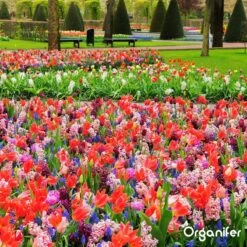 Lavagruis Uit Eifel Oergesteente (20Kg Voor 200m2) Grof Lavameel 0-2mm - Organifer 21 Lavagruis Uit Eifel Oergesteente (20Kg Voor 200m2) Grof Lavameel 0-2mm - Organifer -Gardena Winkel 1200x1200 659