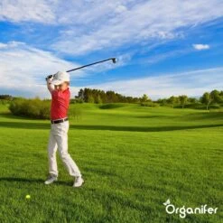 Lavagruis Uit Eifel Oergesteente (20Kg Voor 200m2) Grof Lavameel 0-2mm - Organifer 22 Lavagruis Uit Eifel Oergesteente (20Kg Voor 200m2) Grof Lavameel 0-2mm - Organifer -Gardena Winkel 1200x1200 660