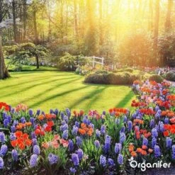 Lavagruis Uit Eifel Oergesteente (20Kg Voor 200m2) Grof Lavameel 0-2mm - Organifer 29 Lavagruis Uit Eifel Oergesteente (20Kg Voor 200m2) Grof Lavameel 0-2mm - Organifer -Gardena Winkel 1200x1200 667