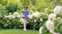 Bosch EasyGrassCut 18V-26 Grastrimmer - Zonder Accu En Lader -Gardena Winkel 1200x675 14