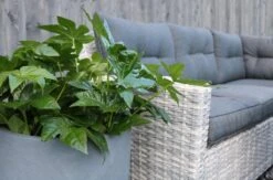 Merkloos Rivièra Original | Loungeset Hoekset Dining Set Tuinset | Wicker | Hoekbank, Hoge Tuintafel, 2 Hockers | 6 Zitplaatsen -Gardena Winkel 1200x793 1