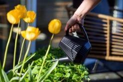 Xala - Gieter Doppio Groove 2L Olijfgrijs -Gardena Winkel 1200x799 42