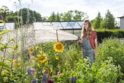 GARDENA - Comfort Broeskop - 5 Straalsoorten - Grijs -Gardena Winkel 1200x800 105