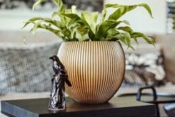 Capi Europe - Vaas Bol Groove XL - 63x51 - Goud - Bloempot Voor Binnen - Opening ⌀42 - GVGB271 -Gardena Winkel 1200x800 144