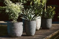 Capi Europe - Bloempot Bol Rib NL - 35x34 - Antraciet - Voor Binnen En Buiten - KOFZ932 -Gardena Winkel 1200x800 145