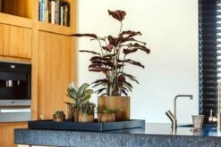 Capi Europe - Vaas Bol Groove XL - 39x33 - Goud - Bloempot Voor Binnen - Opening ⌀24 - GVGB270 -Gardena Winkel 1200x800 151