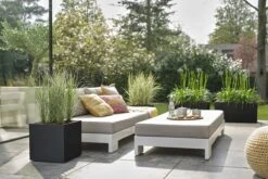 Elho Vivo Next Vierkant 40 - Plantenbak Voor Binnen & Buiten - Ø 39.0 X H 37.9 Cm - Zwart/Living Black -Gardena Winkel 1200x800 155