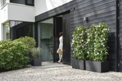 Elho Vivo Next Vierkant 40 - Plantenbak Voor Binnen & Buiten - Ø 39.0 X H 37.9 Cm - Zwart/Living Black -Gardena Winkel 1200x800 156