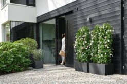 Elho Vivo Next Vierkant 40 - Plantenbak Voor Binnen & Buiten - Ø 39.0 X H 37.9 Cm - Zwart/Living Black -Gardena Winkel 1200x800 157