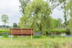 MaximaVida Tuinbank Budapest Oil 170 Cm - Uit Exclusief Mahoniehout -Gardena Winkel 1200x800 51