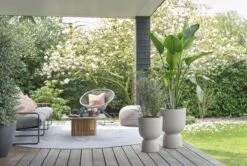 Elho Pure Coupe 41 - Bloempot Voor Binnen & Buiten - Ø 41.3 X H 57.9 Cm - Beige/Balanced Beige -Gardena Winkel 1200x808 4