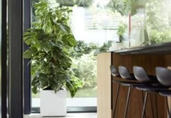 Elho Vivo Matt Finish Vierkant Wielen 40 - Grote Plantenbak Voor Binnen & Buiten - Gemaakt Van Gereycled Plastic - L 39 X W 39 X H 41 Cm - Wit 10 Elho Vivo Matt Finish Vierkant Wielen 40 - Grote Plantenbak Voor Binnen & Buiten - Gemaakt Van Gereycled Plastic - L 39 X W 39 X H 41 Cm - Wit -Gardena Winkel 1200x832 1