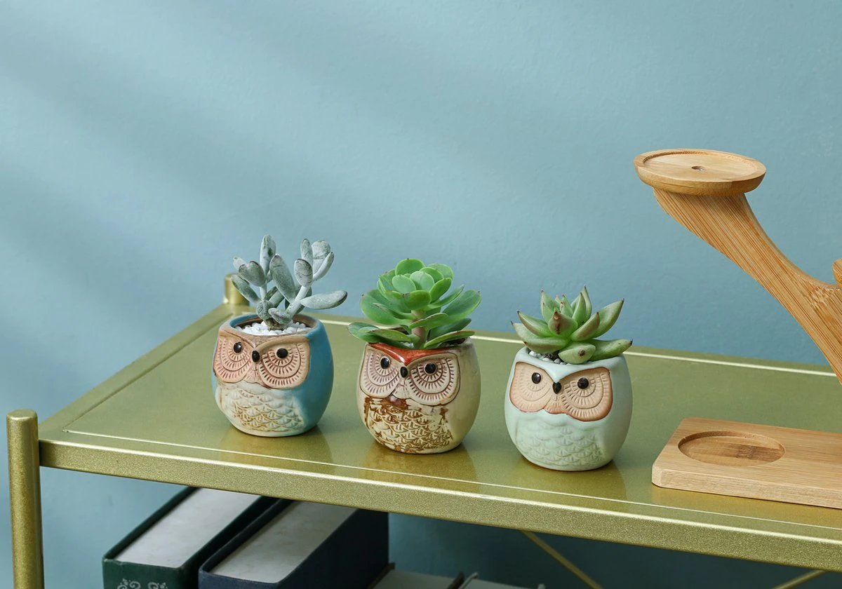 Luxe Bamboe Houten Boom Met 3 Keramiek Uil Bloempotten/Plantenpotten Op Standaard/Voet Voor Binnen En Buiten - Modern Design Bloempot/Plantenpot Op Poten/Pootjes-Plantenbak Mini Cactus Nep Plant Pot Houder - Kleine Bloembakken Plantenrek/Plantenkurk 4 Luxe Bamboe Houten Boom Met 3 Keramiek Uil Bloempotten/Plantenpotten Op Standaard/Voet Voor Binnen En Buiten - Modern Design Bloempot/Plantenpot Op Poten/Pootjes-Plantenbak Mini Cactus Nep Plant Pot Houder - Kleine Bloembakken Plantenrek/Plantenkurk - Afbeelding 4