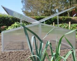 Royal Well Broeikas Silver Thyme -Gardena Winkel 1200x947