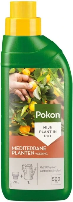 Pokon Mediterrane Planten Voeding - 500ml - Voor Citrus En Mediterrane Planten