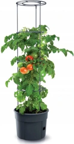 TOMATENPOT VOOR HET KWEKEN VAN TOMATEN PROSPERPLAST 28L -Gardena Winkel 621x1200