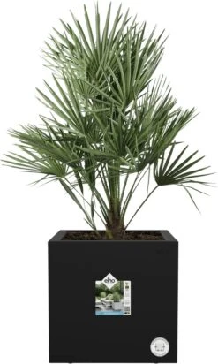 Elho Vivo Next Vierkant 40 - Plantenbak Voor Binnen & Buiten - Ø 39.0 X H 37.9 Cm - Zwart/Living Black -Gardena Winkel 720x1200 1