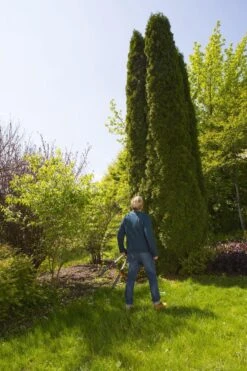 GARDENA TeleCut Heggenschaar - Telescopische Handgrepen Van 70-90 Cm -Gardena Winkel 799x1200 4