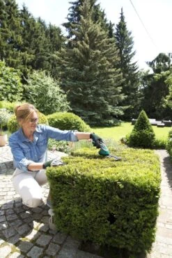 Bosch ISIO Gen III Accu Buxusschaar + Grasschaar -Gardena Winkel 800x1200 10
