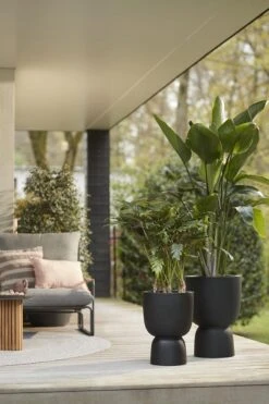 Elho Pure Coupe 41 - Bloempot Voor Binnen & Buiten - Ø 41.3 X H 57.9 Cm - Zwart/Zwart -Gardena Winkel 800x1200 46