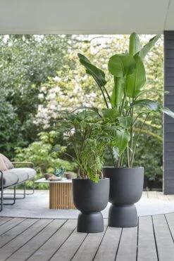 Elho Pure Coupe 41 - Bloempot Voor Binnen & Buiten - Ø 41.3 X H 57.9 Cm - Zwart/Zwart -Gardena Winkel 800x1200 47