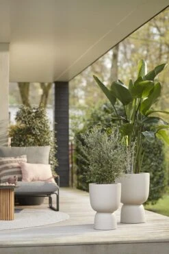 Elho Pure Coupe 35 - Bloempot Voor Binnen & Buiten - Ø 34.9 X H 49.0 Cm - Beige/Balanced Beige -Gardena Winkel 800x1200 50