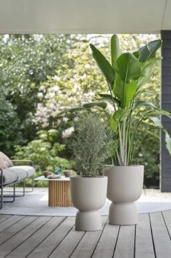 Elho Pure Coupe 35 - Bloempot Voor Binnen & Buiten - Ø 34.9 X H 49.0 Cm - Beige/Balanced Beige -Gardena Winkel 800x1200 51