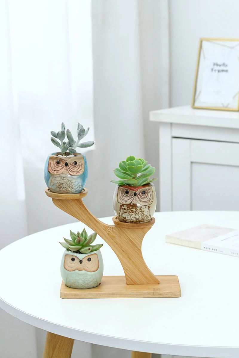 Luxe Bamboe Houten Boom Met 3 Keramiek Uil Bloempotten/Plantenpotten Op Standaard/Voet Voor Binnen En Buiten - Modern Design Bloempot/Plantenpot Op Poten/Pootjes-Plantenbak Mini Cactus Nep Plant Pot Houder - Kleine Bloembakken Plantenrek/Plantenkurk 6 Luxe Bamboe Houten Boom Met 3 Keramiek Uil Bloempotten/Plantenpotten Op Standaard/Voet Voor Binnen En Buiten - Modern Design Bloempot/Plantenpot Op Poten/Pootjes-Plantenbak Mini Cactus Nep Plant Pot Houder - Kleine Bloembakken Plantenrek/Plantenkurk - Afbeelding 6