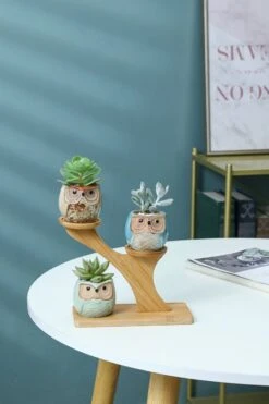 Luxe Bamboe Houten Boom Met 3 Keramiek Uil Bloempotten/Plantenpotten Op Standaard/Voet Voor Binnen En Buiten - Modern Design Bloempot/Plantenpot Op Poten/Pootjes-Plantenbak Mini Cactus Nep Plant Pot Houder - Kleine Bloembakken Plantenrek/Plantenkurk 16 Luxe Bamboe Houten Boom Met 3 Keramiek Uil Bloempotten/Plantenpotten Op Standaard/Voet Voor Binnen En Buiten - Modern Design Bloempot/Plantenpot Op Poten/Pootjes-Plantenbak Mini Cactus Nep Plant Pot Houder - Kleine Bloembakken Plantenrek/Plantenkurk -Gardena Winkel 800x1200 54