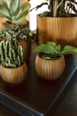 Capi Europe - Vaas Bol Groove XL - 39x33 - Goud - Bloempot Voor Binnen - Opening ⌀24 - GVGB270 -Gardena Winkel 800x1200 55