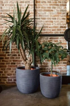 Capi Europe - Bloempot Bol Rib NL - 43x41 - Antraciet - Voor Binnen En Buiten - KOFZ933 -Gardena Winkel 800x1200 57